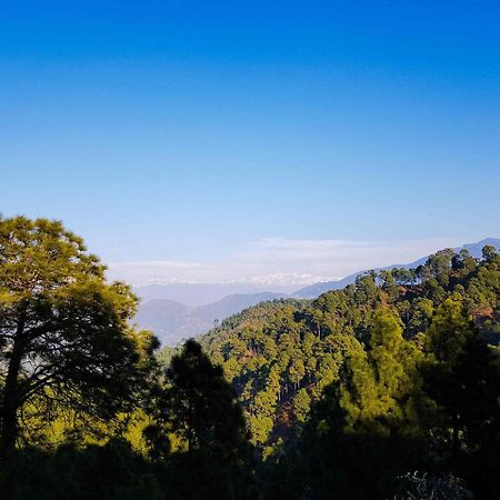 Hotel Homely Abode Dalhousie Dış mekan fotoğraf