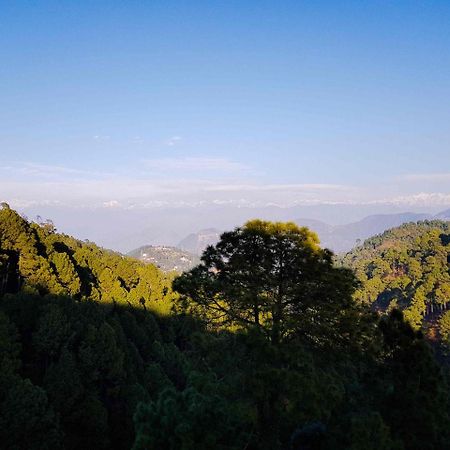 Hotel Homely Abode Dalhousie Dış mekan fotoğraf