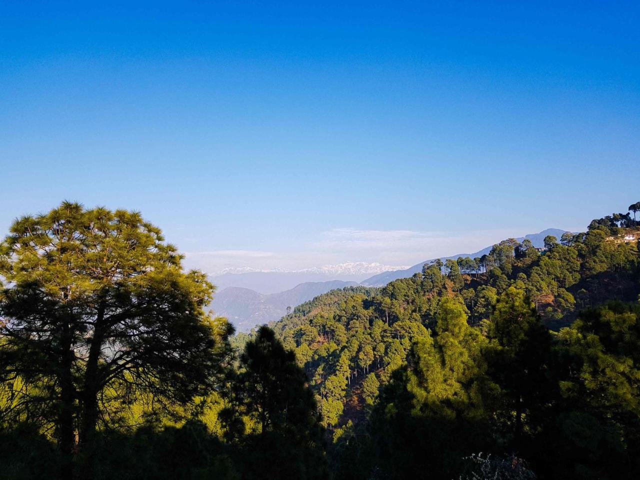 Hotel Homely Abode Dalhousie Dış mekan fotoğraf