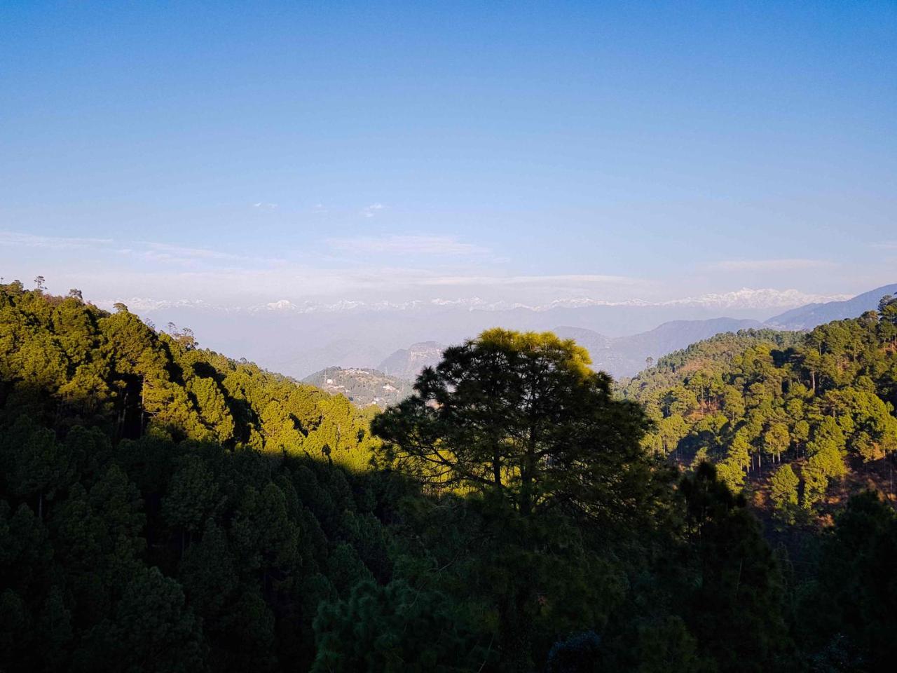 Hotel Homely Abode Dalhousie Dış mekan fotoğraf